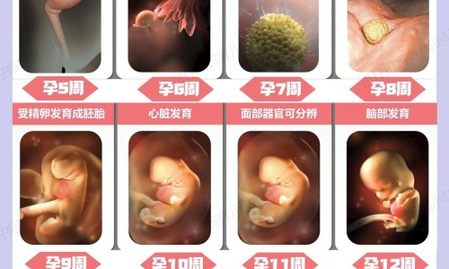 怀孕4个月能去旅游吗-怀孕4个月去泰国能入境么网 - 怀孕4个月能去山里玩吗,怀孕了可以去泰国吗