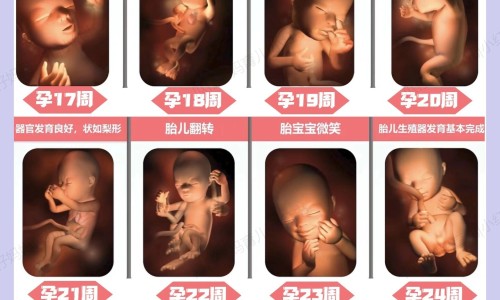 怀孕可以去泰国旅游吗-怀孕4个月去泰国能入境么网 - 怀孕4个月能去山里玩吗,怀孕了可以去泰国吗